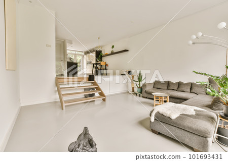 a living room with couches and a cat on the floor in front of the sofa is looking into the dining area a living room with couches and a cat on the floor in front of the sofa is looking into the dining area 101693431