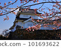 Kishiwada castle tower surrounded by cherry blossoms 101693622