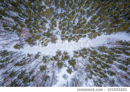 Aerial view of the road in the winter forest with high pine or spruce trees covered by snow. Driving in winter. Aerial view of the road in the winter forest with high pine or spruce trees covered by snow. Driving in winter. 101693882