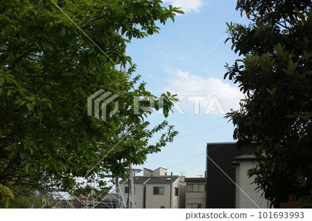 I walked the town of Oda 101693993