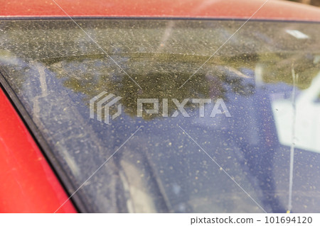 用黃色灰塵和花粉弄髒的汽車擋風玻璃 101694120