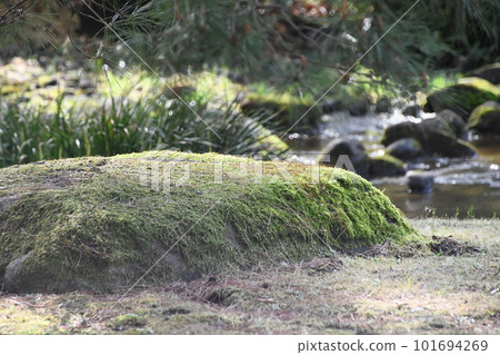 moss-covered rock moss-covered rock 101694269