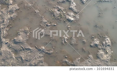 Dirty wet sand, grunge horizontal shabby background close-up. Blurry image of sand pattern. Abstract nature background. Dirty wet sand, grunge horizontal shabby background close-up. Blurry image of sand pattern. Abstract nature background. 101694831