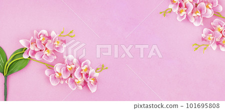 The Banner. Orchid. Two branches of an Orchid of pink color with green leaves from above. The Banner. Orchid. Two branches of an Orchid of pink color with green leaves from above. 101695808