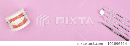 The Model dentures and dental equipment with free space for dental care on pink color background concept. The Model dentures and dental equipment with free space for dental care on pink color background concept. 101696514