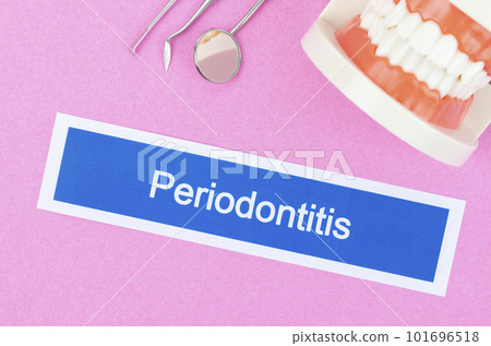 The Teeth model with Periodontitis dental disease on pink color background. 101696518