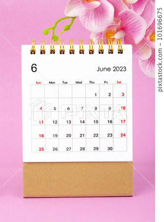 The June 2023 calendar desk and pink orchid on pink background. 101696675