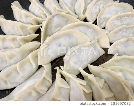 Gyoza fried in a frying pan photo material Gyoza fried in a frying pan photo material 101697082