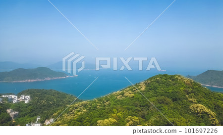 16 April 2023 Full of Hill of Crateva Unilocularis blossom in Hong kong 101697226