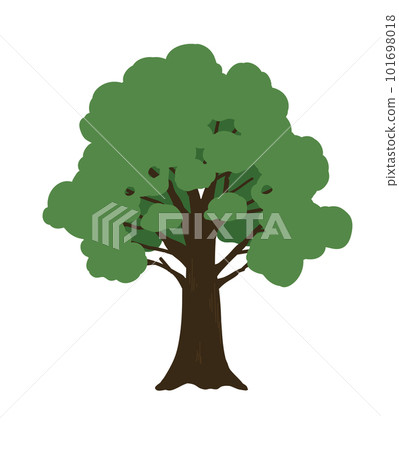 wood  101698018