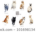Cat watercolor illustration B set / AI image (calico cat, black cat, Siamese, sphinx, etc.) 101698134