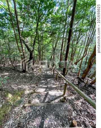 東谷山步行道 101698625