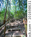 東谷山步行道 101698631