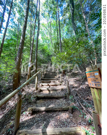 東谷山步行道 101698631