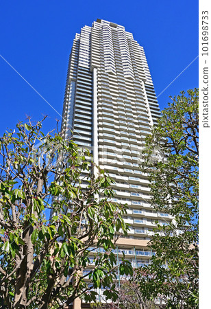 Kawaguchi Walk: Elsa Tower 55 Skyscraper Mansion Motogo, Kawaguchi City 101698733