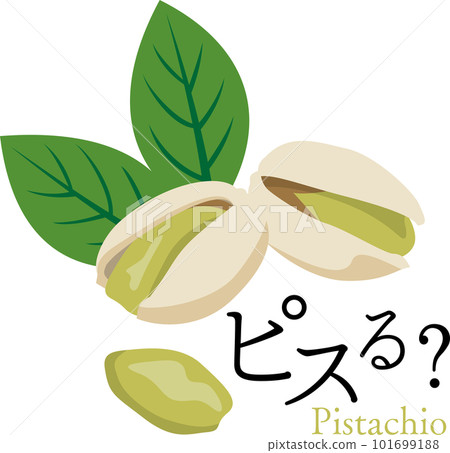 Pistachio Pisuru 101699188