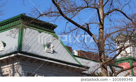 Hokkaido University Furukawa Memorial Hall 101699340