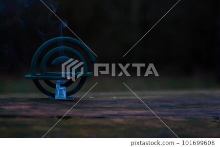 Burning of the mosquito coil in nature. Mosquito-repelling incense with a whiff of smoke, banner, copy space 101699608