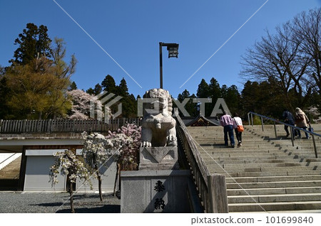 春天的盛岡八幡宮 春天的盛岡八幡宮 101699840