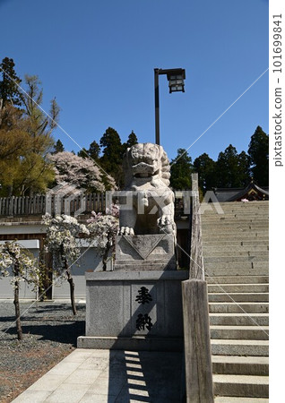 春天的盛岡八幡宮 春天的盛岡八幡宮 101699841