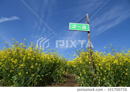 Rape field maze finish point Rape field maze finish point 101700738