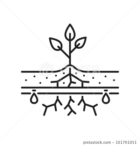 Plant seedling drip watering, field irrigation icon. Agriculture irrigation equipment, farm watering automatic system line vector sign. Gardening, farmland water sprinkling technology symbol or icon 101701051
