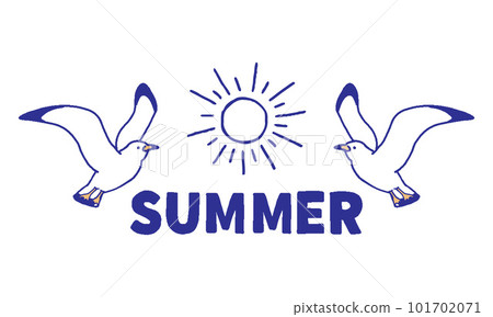 seagull summer illustration 101702071