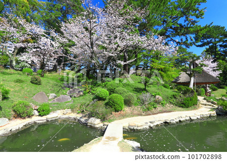 [廣島縣]櫻花盛開的縮景園 101702898