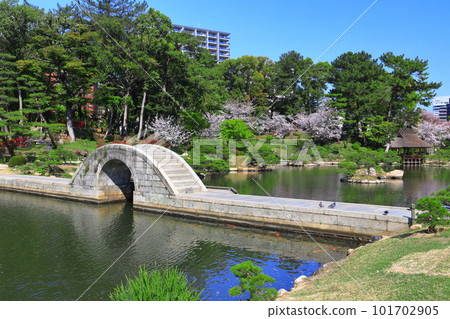 [Hiroshima Prefecture] Shukkeien Garden (straddling bridge) with cherry blossoms in full bloom 101702905