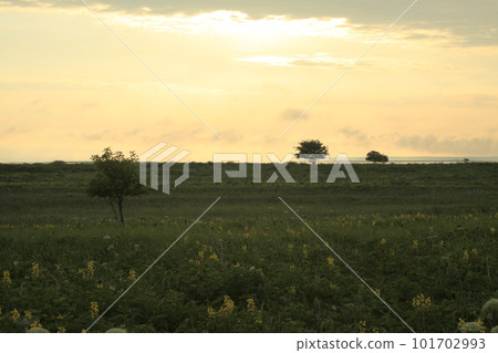 野付半島夜景 野付半島夜景 101702993