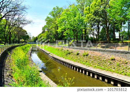 Zenpukuji River Park/Narita Shimobashi/Overlooking the Zenpukuji River (Suginami Ward, Tokyo) [April 2023] 101703812