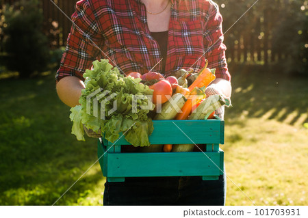 Female farmer carrying box of picked vegetables - garden and harvesting agricultural product for online selling. 101703931