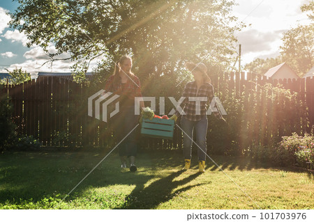 Female farmer holding ripe organic vegetables in wooden box in garden. Happy woman gardener harvesting agricultural product for online selling. 101703976