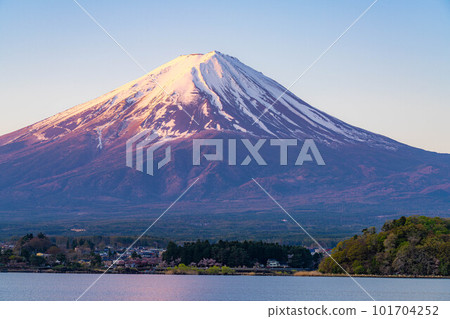 [Mt. Fuji] Mt. Fuji at sunrise seen from Lake Kawaguchi [Yamanashi Prefecture] 101704252