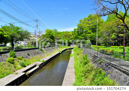 Zenpukuji River Green Space/Narien Bridge/Looking upstream from Zenpukuji River (Suginami Ward, Tokyo) [April 2023] 101704274