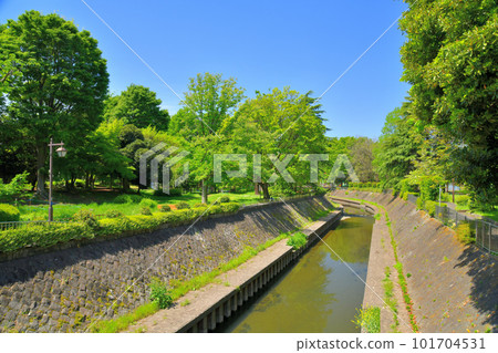 Zenpukuji River Green Area/Taisei Bridge/Looking upstream from Zenpukuji River (Suginami Ward, Tokyo) [April 2023] 101704531