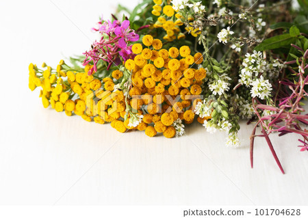 Bouquet of wild flowers Bouquet of wild flowers 101704628