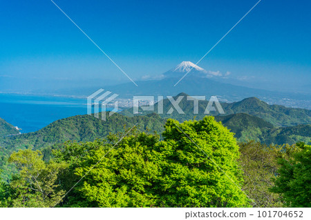 （靜岡縣）從綠意盎然的葛城山眺望富士山 101704652