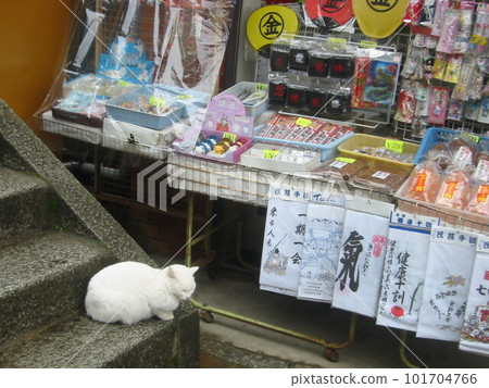 2012, Temple Scenery in Kagawa, Kotohira, Part 8 2012, Temple Scenery in Kagawa, Kotohira, Part 8 101704766