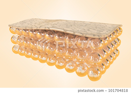 Structure of damaged skin 3d render. Anatomy of old skin with wrinkles, peeling and dry texture, human skin layer epidermis and dermis with cells isolated on beige background. 3D illustration Structure of damaged skin 3d render. Anatomy of old skin with wrinkles, peeling and dry texture, human skin layer epidermis and dermis with cells isolated on beige background. 3D illustration 101704818