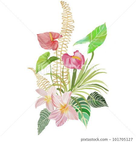 Acrylic tropical composition of anthurium, plumeria, monstera and plants. Hand painted floral card isolated on white background. Holiday flower Illustration for design, print, fabric or background. 101705127