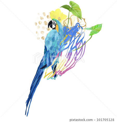 Acrylic abstract tropical composition of plants, gold spots and parrot. Hand drawn card of bird, anthurium and lines. Floral illustration isolated on white background for design, print or background. Acrylic abstract tropical composition of plants, gold spots and parrot. Hand drawn card of bird, anthurium and lines. Floral illustration isolated on white background for design, print or background. 101705128
