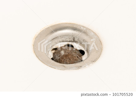 A bathroom drain clogged with dirty hair and slime A bathroom drain clogged with dirty hair and slime 101705520