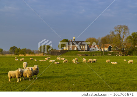Former island of Schokland, UNESCO World Heritage Site, Netherlands 101705671