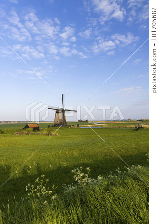 windmill in Noord Holland, Netherlands windmill in Noord Holland, Netherlands 101705682