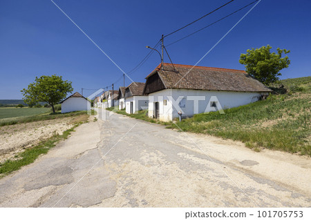 Traditional wine cellars street in Diepolz near Mailberg, Lower Austria, Austria 101705753