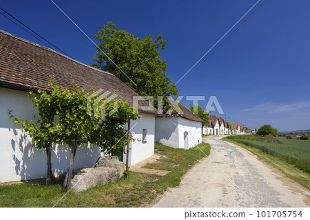 Traditional wine cellars street in Diepolz near Mailberg, Lower Austria, Austria Traditional wine cellars street in Diepolz near Mailberg, Lower Austria, Austria 101705754