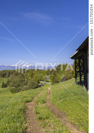 Typical wooden log cabins in Gorjuse, Triglavski national park, Slovenia 101705854