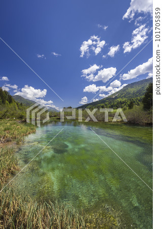 Spring landscape in Zelenci, Slovenia 101705859