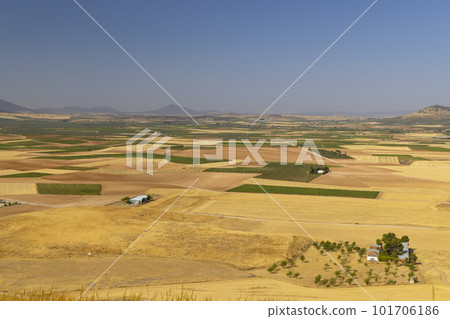 landscape of Castilla La Mancha near Consuegra, Spain 101706186